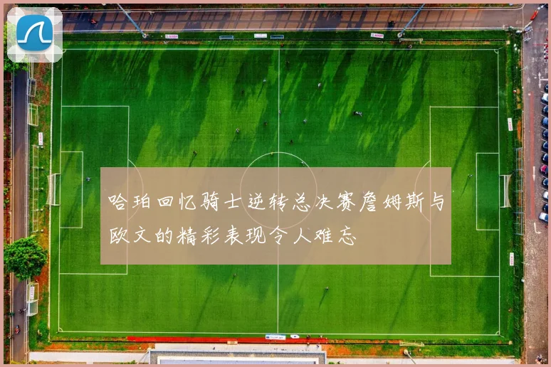 哈珀回忆骑士逆转总决赛詹姆斯与欧文的精彩表现令人难忘