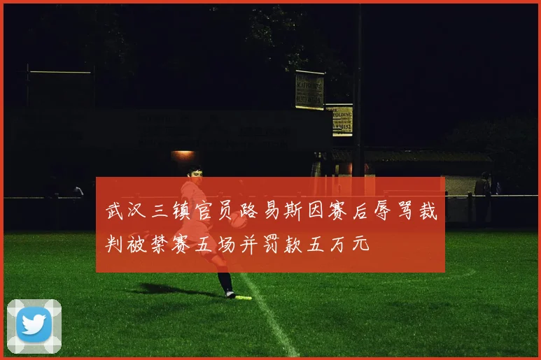 武汉三镇官员路易斯因赛后辱骂裁判被禁赛五场并罚款五万元